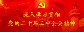 学习贯彻党的二十届三中全会精神